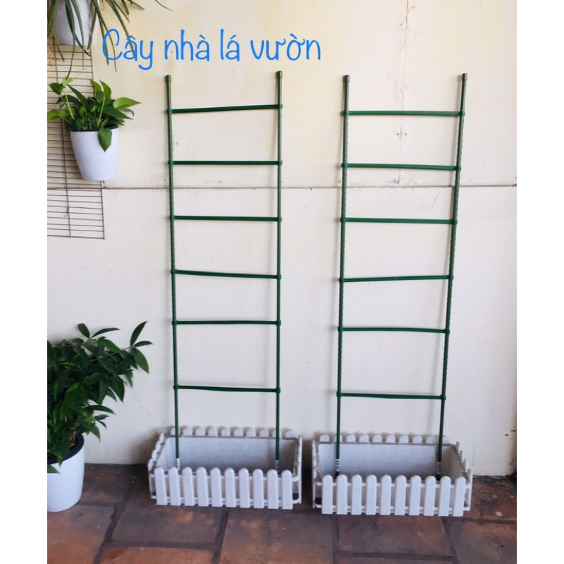 Giàn leo, khung đa năng 120/150cm