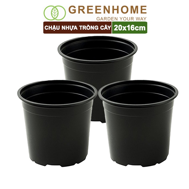 Bộ 3 Chậu nhựa trồng cây, 20x16cm, nhựa cứng, thoát nước tốt, đa dạng kích thước trồng cây, hoa, kiểng lá |Greenhome