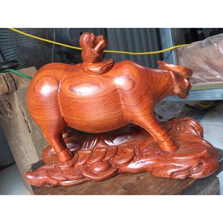 trâu gỗ hương