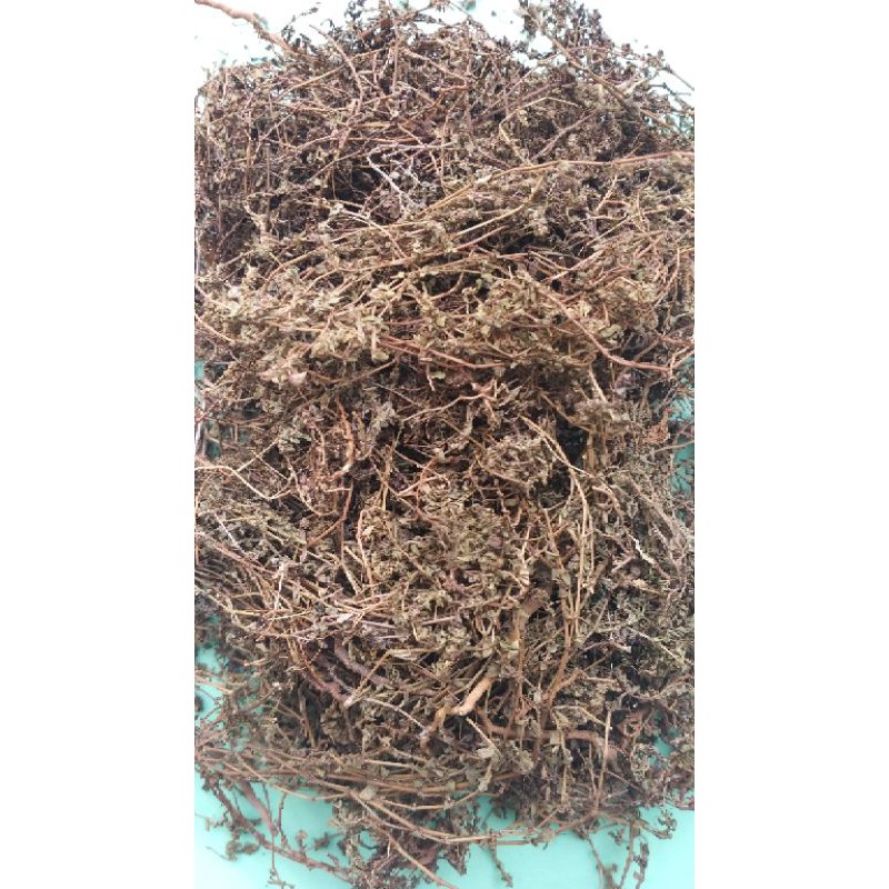 cây vú sữa đất lá nhỏ - cỏ sữa nhỏ lá phơi khô 1kg