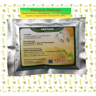 Chế phẩm sinh học Nấm xanh Metarhizium (Gói 100g)