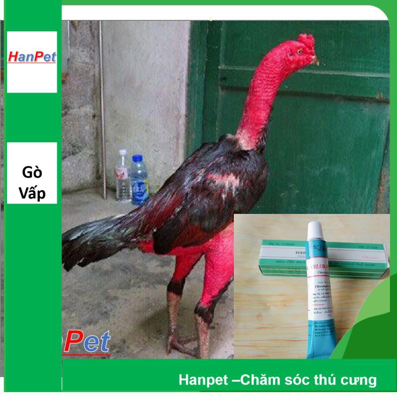 Hanpet.GV- Tan đòn gà chọi, tan bết thương gà đá, nhanh liền da chiến kê dạng tuyp bôi 15gr-