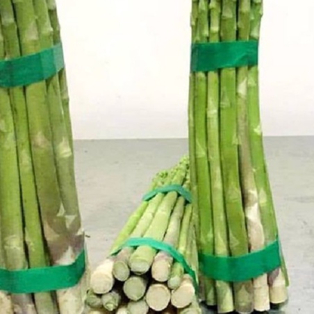 Hạt giống Măng Tây xanh dể trồng f1-gói 20 hạt