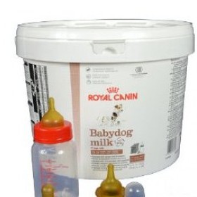 Sữa cho chó con Royal Canin BabyDog Milk 2kg