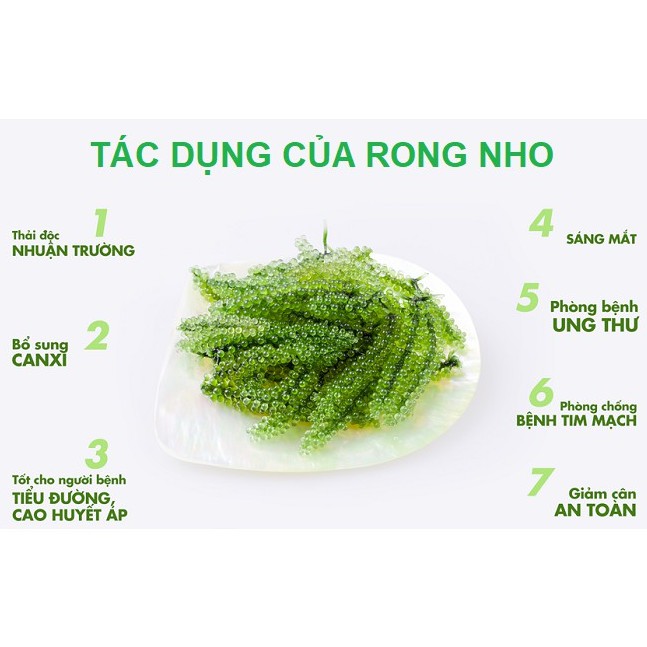 [Combo 12 gói] Rong nho tách nước công nghệ Nhật Bản Sabudo - Tặng kèm nước sốt mè rang