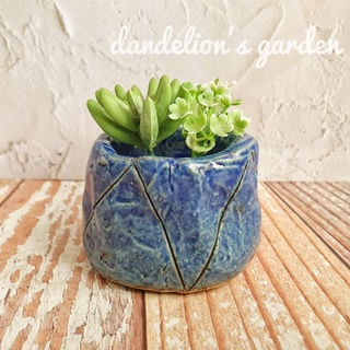 chậu ly gốm nhật