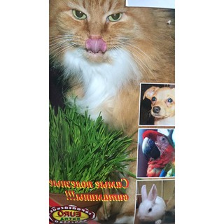 Thức ăn hamster hạt cỏ lùng