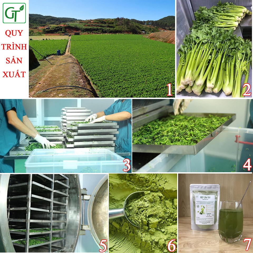 Bột Cần Tây Sấy Lạnh Nguyên Chất 100% (Gói 100-200g) - Bột Cần Tây GT Cao Cấp Giúp Giảm Cân Nhanh, Da Xinh, Dáng Đẹp