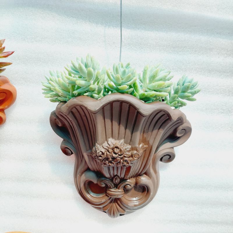 Chậu đất nung, Chậu sen đá - Ốp tường hoa, miệng chậu 20cm x 9cm, chiếu cao 23cm