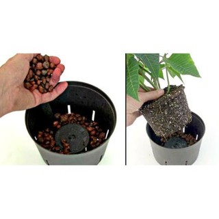 VIÊN ĐẤT NUNG (SỎI NHẸ) SFARM 5DM3 (KT 10-20MM)