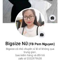 Bigsize nữ 