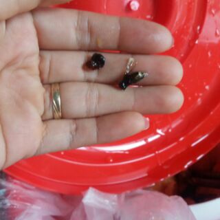 Mật ong rừng 100%