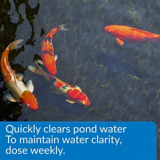 API - Accu Clear (Pond) - Làm trong nước ngọt cấp tốc
