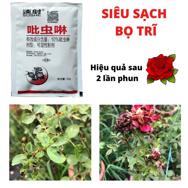 [CHUYÊN SỈ] THUỐC ĐẶC TRỊ BỌ TRĨ HOA HỒNG NHẬP KHẨU TRUNG QUỐC