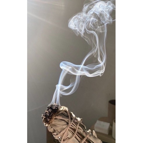 Lá Xô thơm Peru - Lá Sage