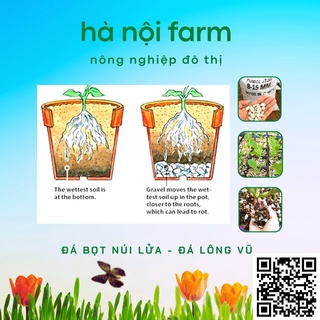 Đá bọt núi lửa, Đá lông vũ  - Đá giữ ẩm size 1-2 - túi 5dm