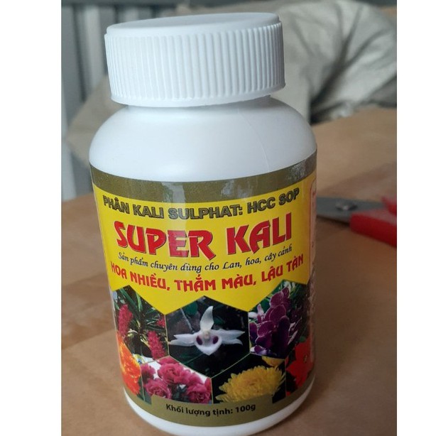 Super Kali – HOA NHIỀU - THẮM MÀU -LÂU TÀN