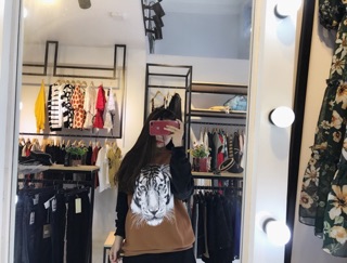 Pull hổ