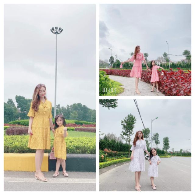 combo hồng lùnn p
