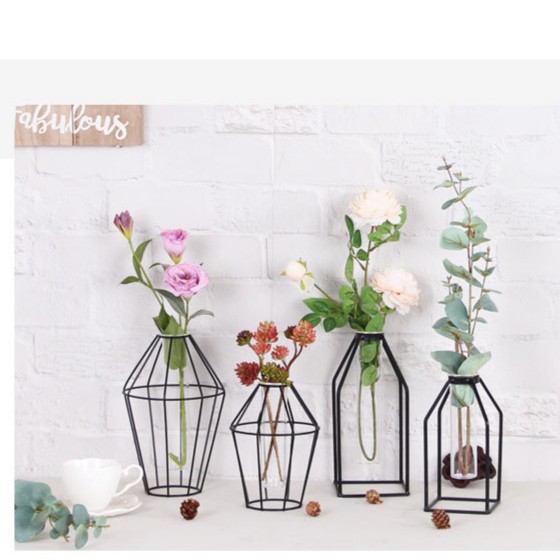 Khung Sắt Uốn Nghệ Thuật Màu Đen + Bình Thuỷ Tinh Nhiều Hình Dáng Khác Nhau Để Cắm Hoa Lá Thuỷ Sinh