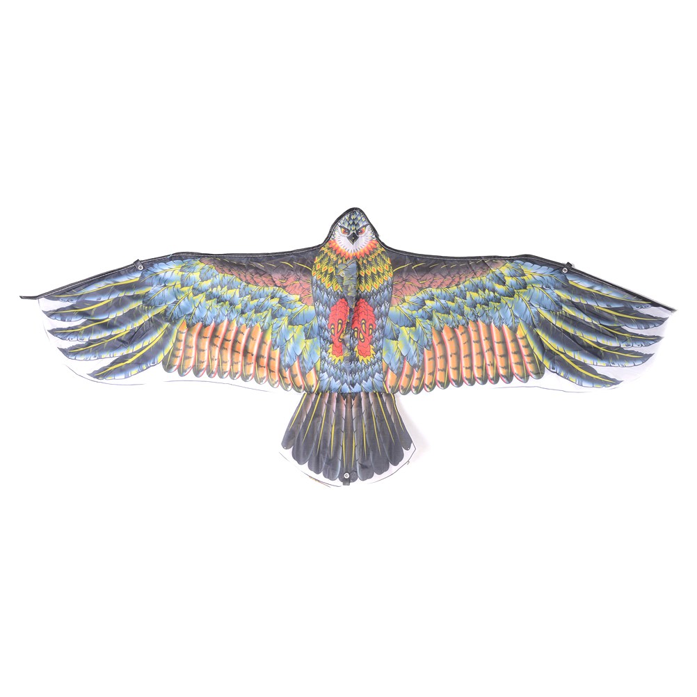 Chú Chim Đại Bàng Cỡ Lớn Độc Đáo