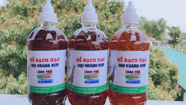 Rễ bạch hạc ngâm chữa nấm mốc