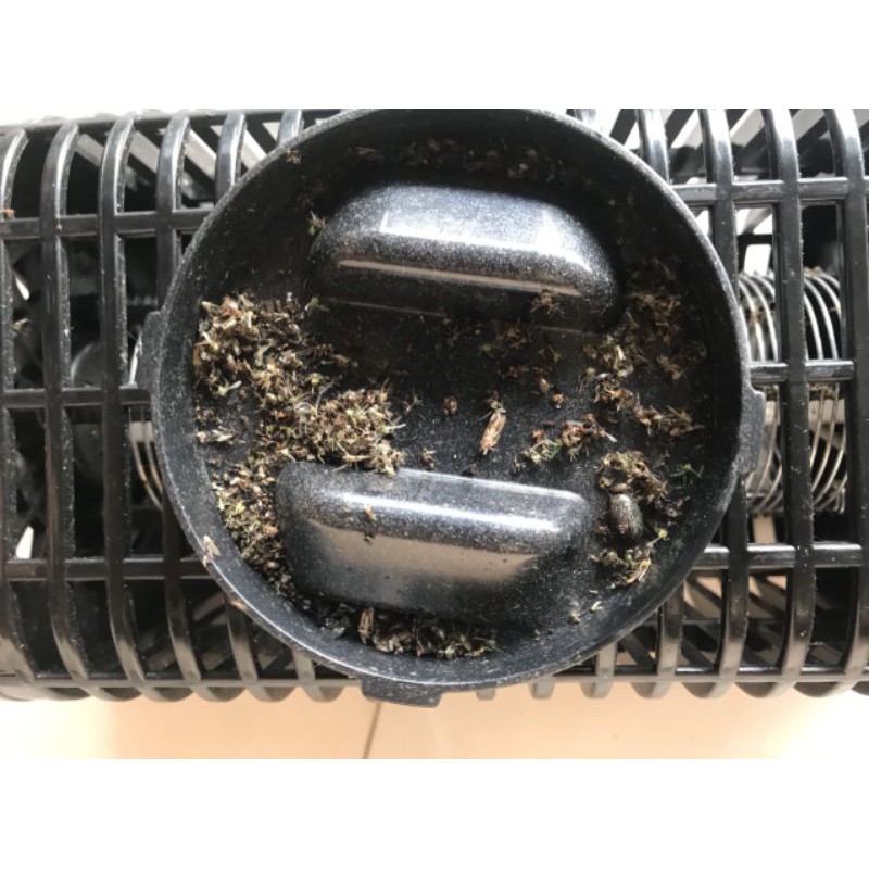 Đèn bắt muỗi và côn trùng An Minh Model CA01.