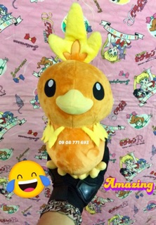 Thú bông Torchic 25cm ko đo tóc