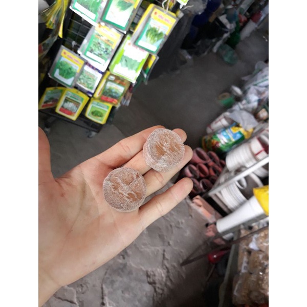 COMBO 10 Viên Nén Sơ Dừa Ươm Cây Giống, Hạt Giống