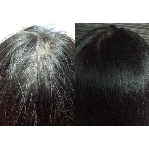 Combo 10 Gói Dầu Gội Nhuộm Đen Tóc Black Hair Shampoo Hàn Quốc, An Toàn Cho Da, Không Độc Hại - Prohome