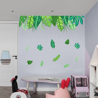 Decan Dán Tường An Phú Decor Rừng Nhiệt Đới