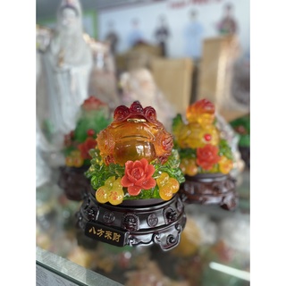 Cóc, tì hưu đế đen đẹp