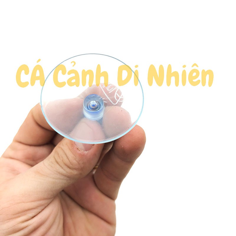 Hít kính giữ ống DÂY OXY 4 MM cho hồ cá cảnh