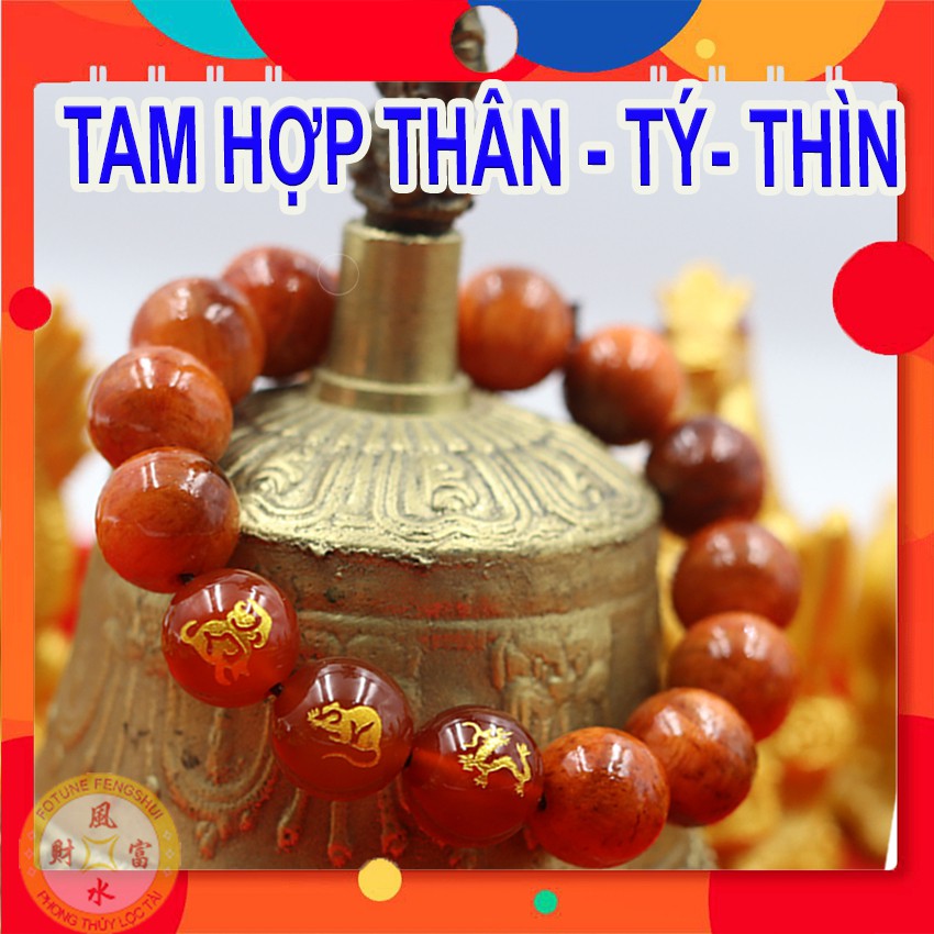 Vòng Tam hợp Thân - Tý - Thìn