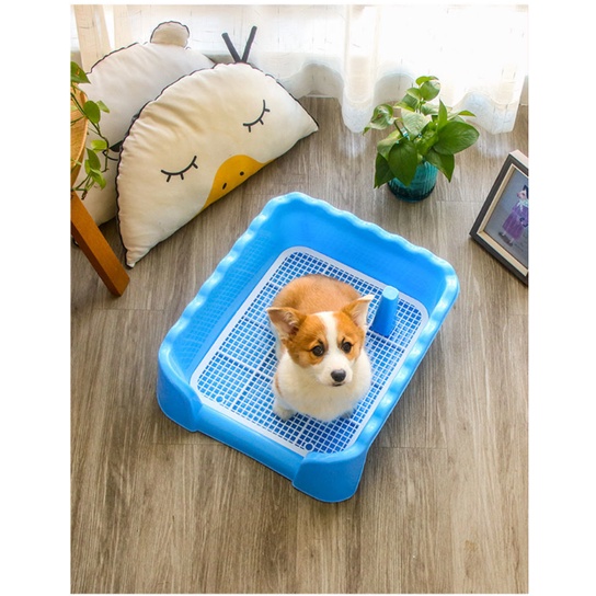 Khay vệ sinh cho chó LunaPet KC02 nhựa cứng tặng kèm cột