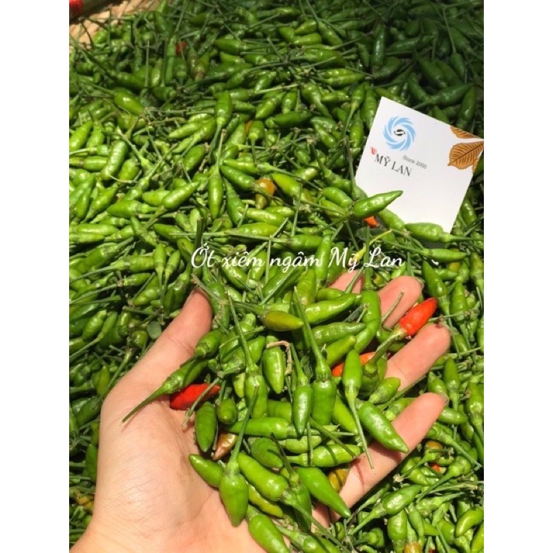 0,5kg ớt Xiêm rừng ( ớt đồng bào tươi )
