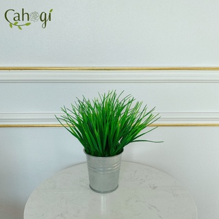 Cây Giả - Chậu Cây Lúa Non Để Bàn