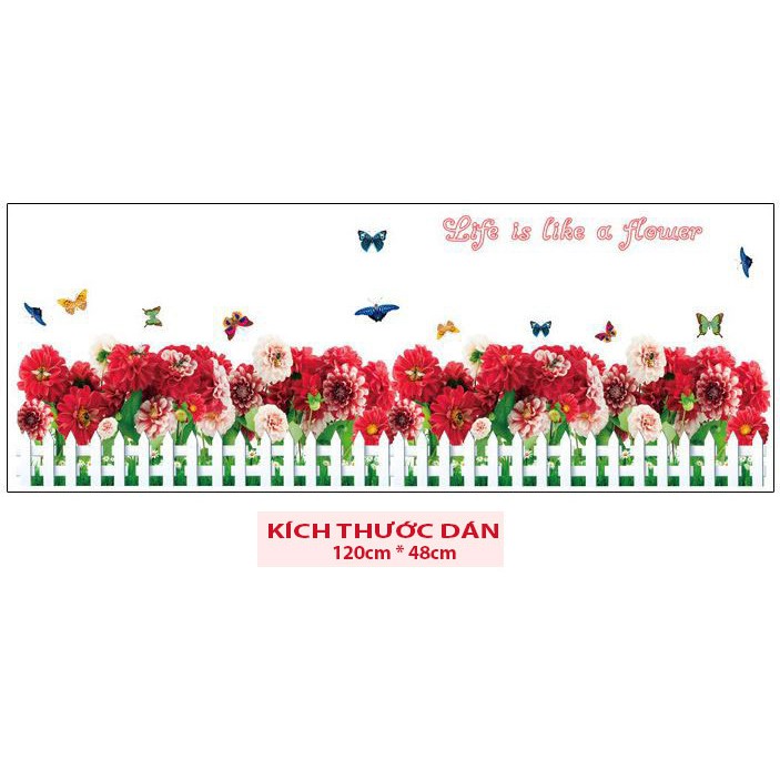 Decal dán chân tường HÀNG RÀO HOA CÚC ĐỎ