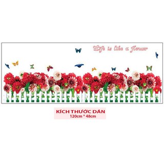  Decal dán chân tường HÀNG RÀO HOA CÚC ĐỎ