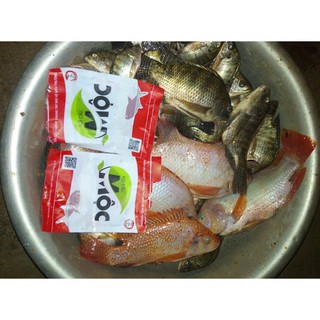 MỒI CÂU CÁ - MỒI MỘC ĐỎ (chép ,trôi, trắm ...)
