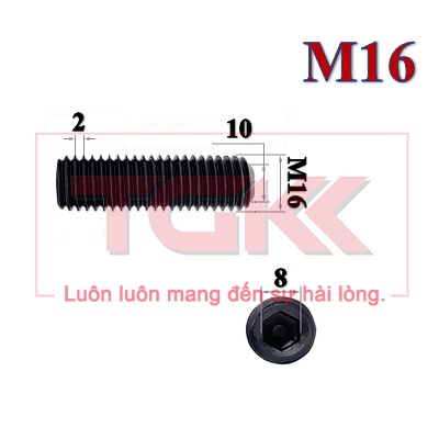 Vít trí thép đen M16 (20-40mm)