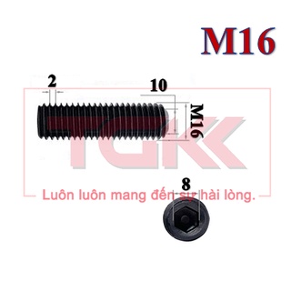 Vít trí thép đen M16 (20-40mm)
