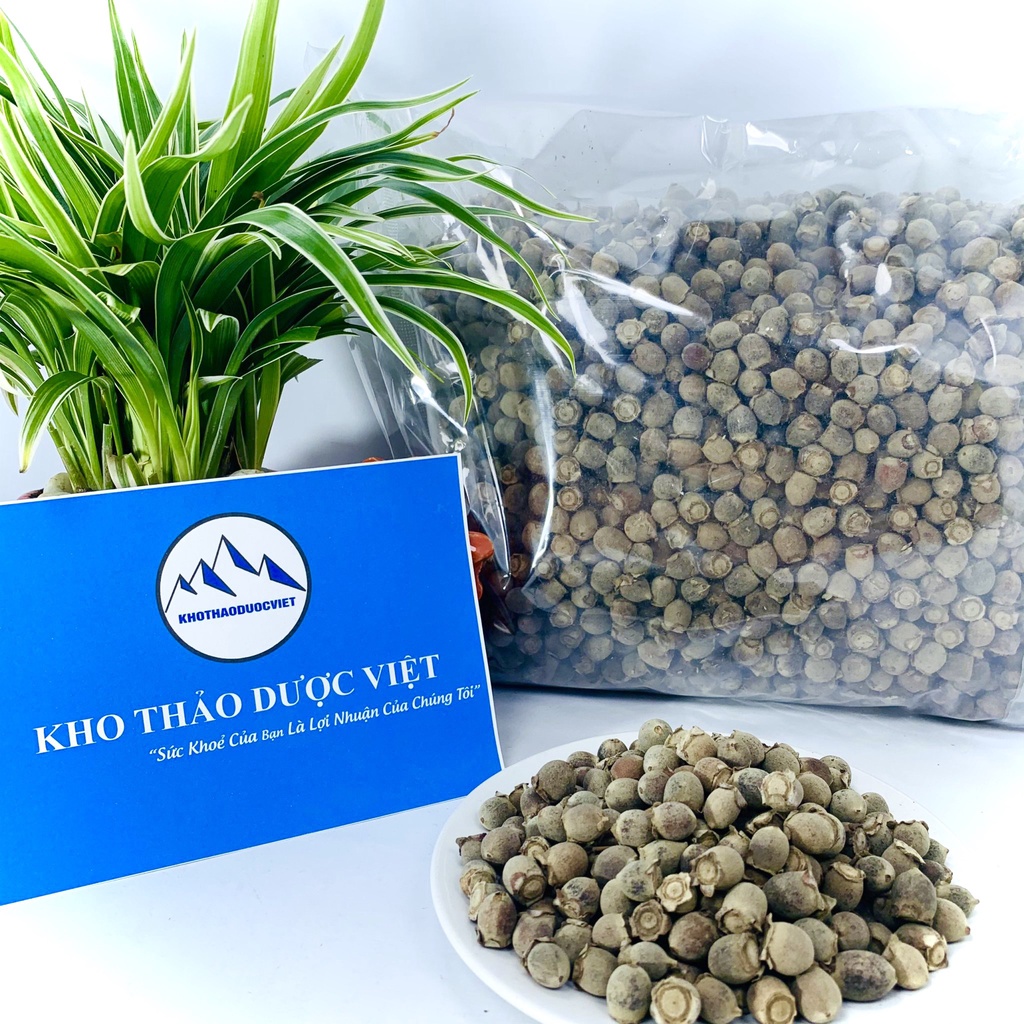 Quả Sim Rừng khô, thơm, sạch hàng chất lượng tốt | BigBuy360 - bigbuy360.vn