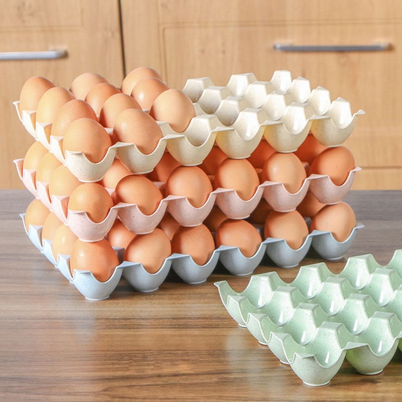 Vỉ nhựa 24 cái đựng trứng cao cấp