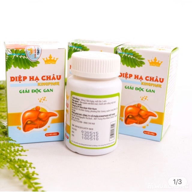 Diệp Hạ Châu Kingphar – Hỗ trợ giải độc gan, tăng cường chức năng gan, bảo vệ tế bào gan (40 viên)