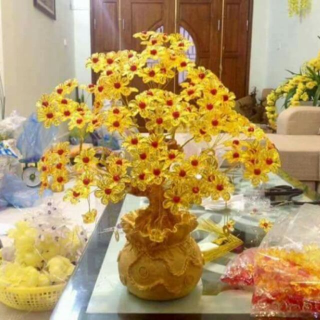 CÂY KIM TIỀN TÀI LỘC( Ảnh thật)