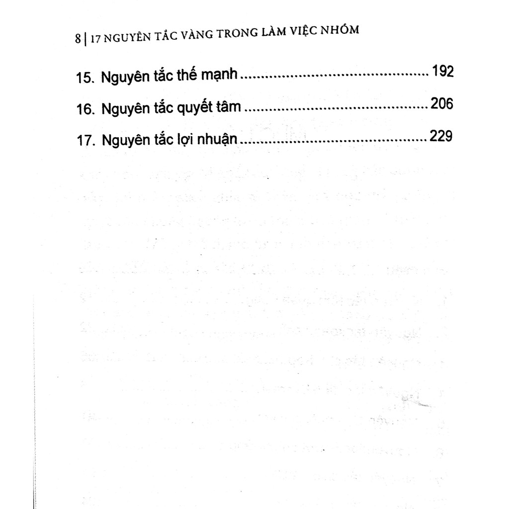 Sách - 17 Nguyên Tắc Vàng Trong Làm Việc Nhóm (Tái Bản )