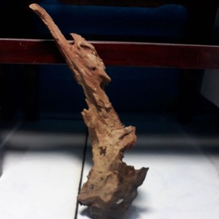 7.lũa thô tự nhiên chưa dc xử lý giá 15k