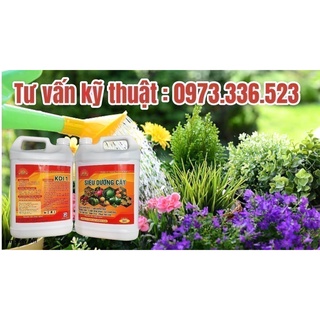 Can tưới Dưỡng Cây 5 lít