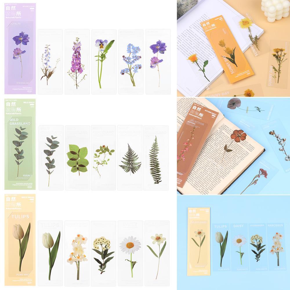 FAY Bộ 5 Thẻ Đánh Dấu Sách Hình Cây Tự Nhiên